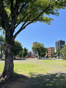 ある晴れた日のこと